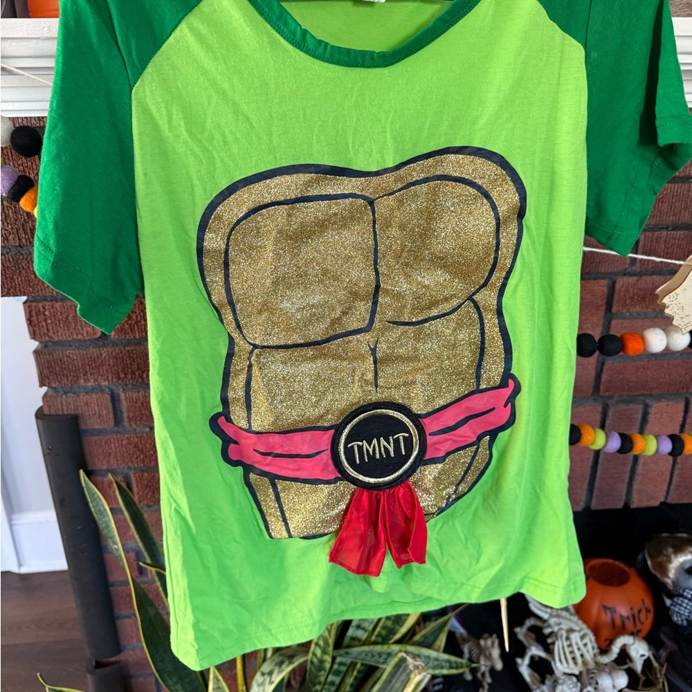 Nickelodeon TMNT Costume - Green and Gold